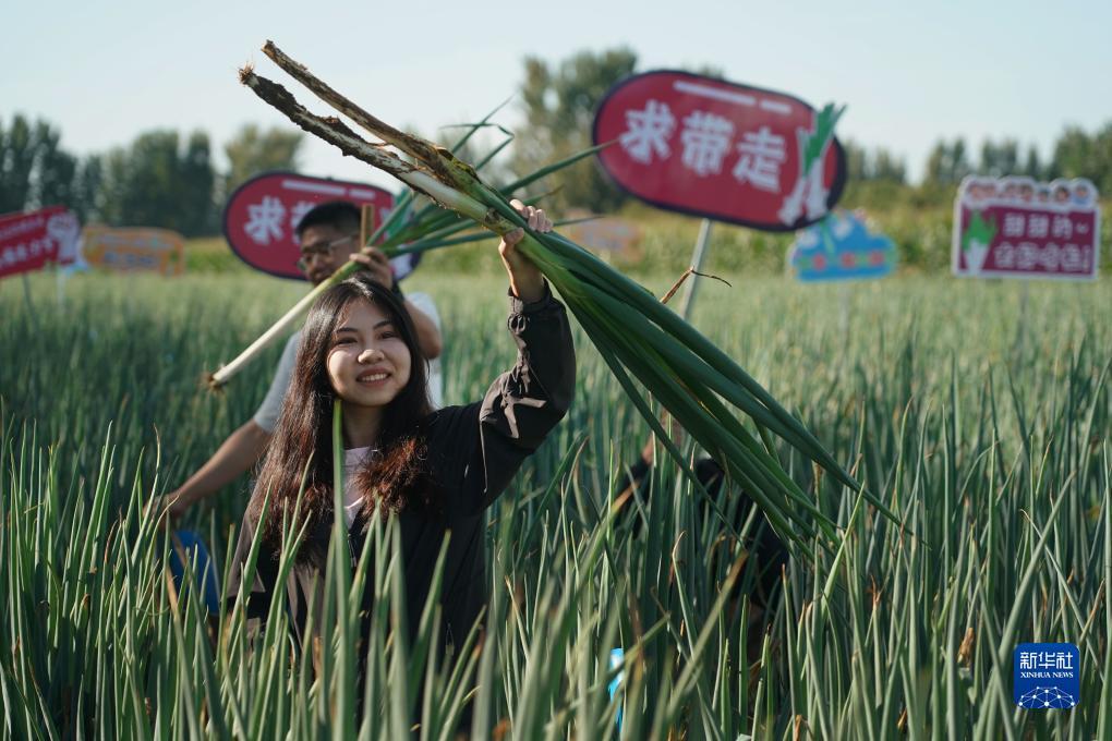 金冠网官网